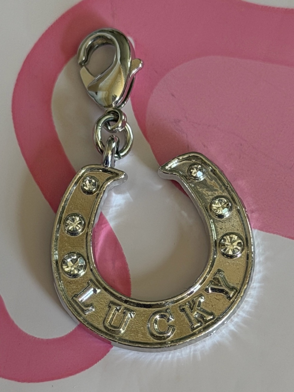 🧲Paparazzi Lucky Horseshoe Rhodium Charm